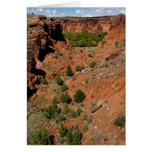 North America, USA, Arizona, Navajo Indian