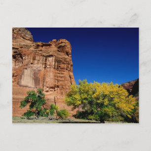 North America, USA, Arizona, Navajo Indian 3 Postcard