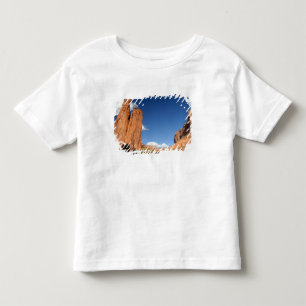 North America, USA, Arizona, Navajo Indian 4 Toddler T-shirt