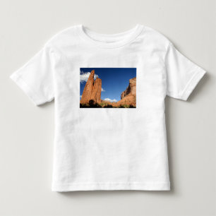 North America, USA, Arizona, Navajo Indian 4 Toddler T-shirt