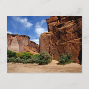 North America, USA, Arizona, Navajo Indian 5 Postcard