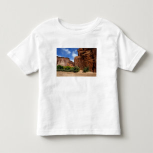 North America, USA, Arizona, Navajo Indian 5 Toddler T-shirt