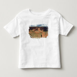 North America, USA, Arizona, Navajo Indian 6 Toddler T-shirt