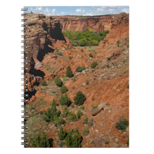 North America, USA, Arizona, Navajo Indian Notebook