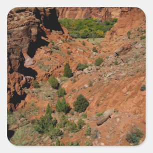 North America, USA, Arizona, Navajo Indian Square Sticker