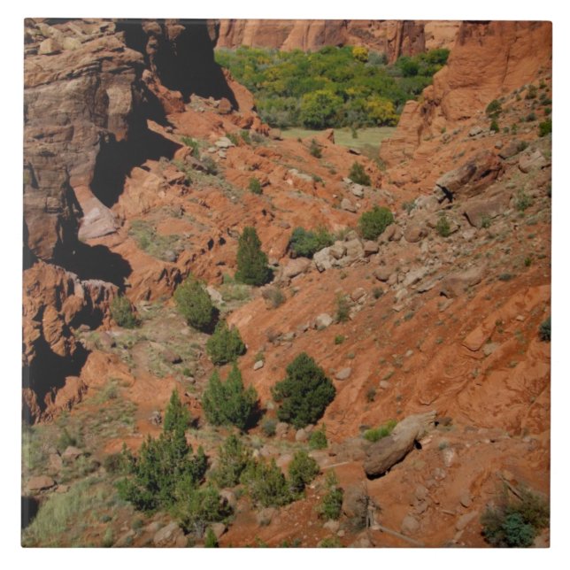 North America, USA, Arizona, Navajo Indian Tile (Front)