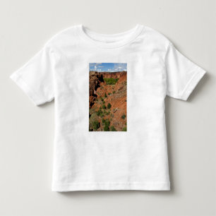 North America, USA, Arizona, Navajo Indian Toddler T-shirt
