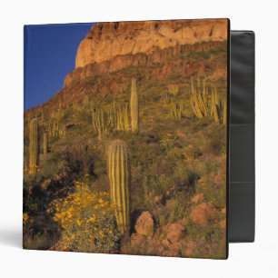 North America, USA, Arizona, Organ Pipe Cactus 2 Binder