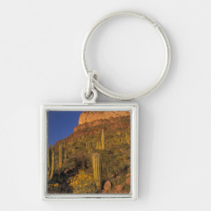 North America, USA, Arizona, Organ Pipe Cactus 2 Keychain