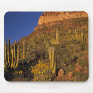 North America, USA, Arizona, Organ Pipe Cactus 2 Mouse Pad