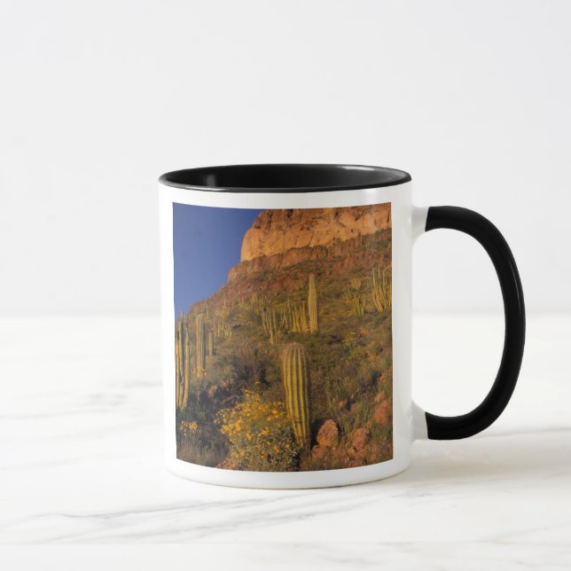 North America, USA, Arizona, Organ Pipe Cactus 2 Mug (Right)