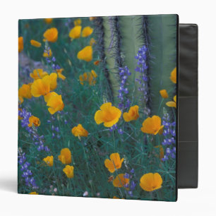 North America, USA, Arizona, Organ Pipe Cactus Binder