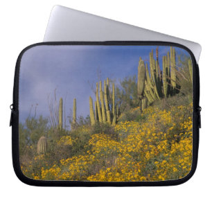 North America, USA, Arizona, Organ Pipe Cactus Laptop Sleeve