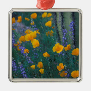 North America, USA, Arizona, Organ Pipe Cactus Metal Ornament