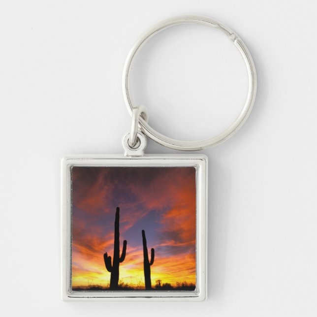 North America, USA, Arizona, Sonoran Desert. Keychain (Front)