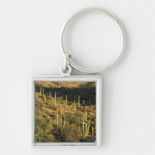 North America, USA, Arizona, Sonoran Desert Keychain
