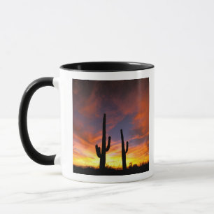 North America, USA, Arizona, Sonoran Desert. Mug