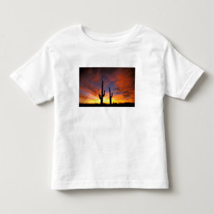 North America, USA, Arizona, Sonoran Desert. Toddler T-shirt