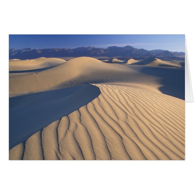 North America, USA, Califorinia, Death Valley 3 (Front Horizontal)