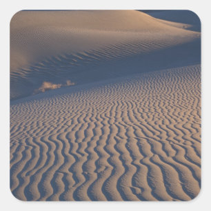 North America, USA, Califorinia, Death Valley Square Sticker