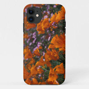 North America, USA, California, Antelope Valley, 2 iPhone 11 Case