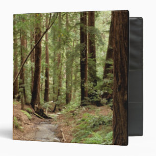 North America, USA, California, Big Sur, 3 Binder