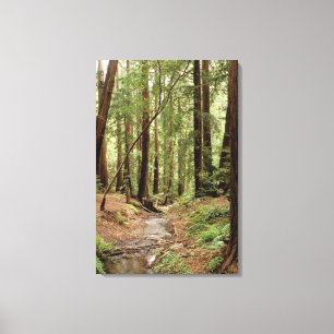 North America, USA, California, Big Sur, Canvas Print