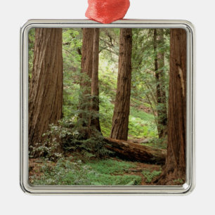 North America, USA, California, Big Sur, Metal Ornament