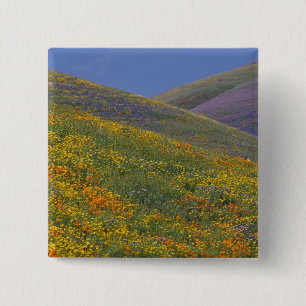 North America, USA, California, Los Angeles 2 Inch Square Button