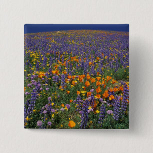 North America, USA, California, Los Angeles 2 Inch Square Button