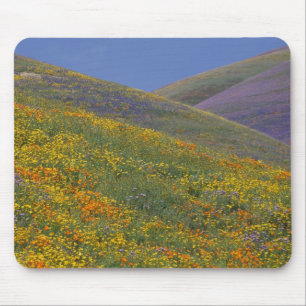 North America, USA, California, Los Angeles Mouse Pad