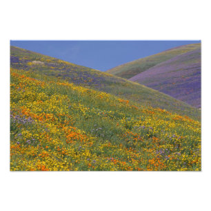 North America, USA, California, Los Angeles Photo Print
