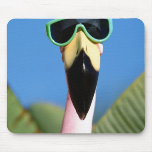 North America, USA, California, San Diego. Sea Mouse Pad