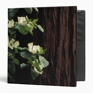 North America, USA, California, Yosemite 2 Binder