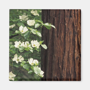 North America, USA, California, Yosemite 3 Magnet