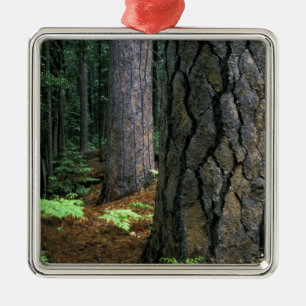 North America, USA, California, Yosemite Metal Ornament