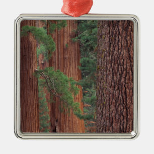 North America, USA, California, Yosemite NP, Metal Ornament