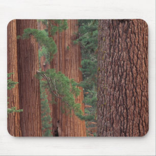 North America, USA, California, Yosemite NP, Mouse Pad