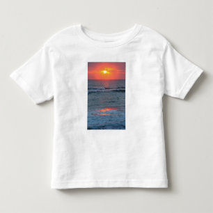 North America, USA, Florida, Canaveral Toddler T-shirt