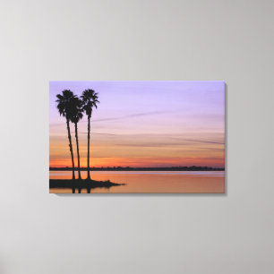 North America, USA, Florida, Mt. Dora, a trio Canvas Print
