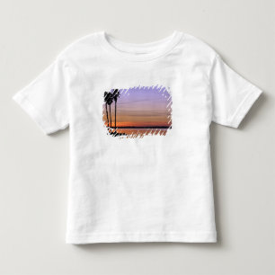 North America, USA, Florida, Mt. Dora, a trio Toddler T-shirt