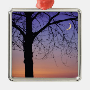 North America, USA, Florida, Mt. Dora, the Metal Ornament