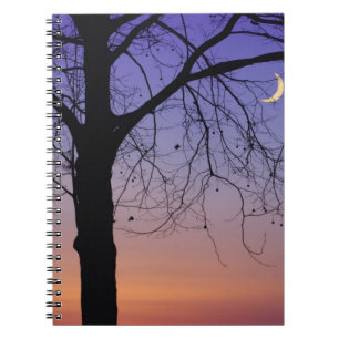 North America, USA, Florida, Mt. Dora, the Notebook