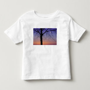 North America, USA, Florida, Mt. Dora, the Toddler T-shirt
