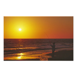 North America, USA, Florida, Sanibel Island. Photo Print