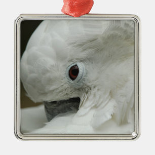 North America, USA, Florida, St. Augustine Metal Ornament