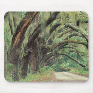 North America, USA, Georgia, Cumberland 2 Mouse Pad