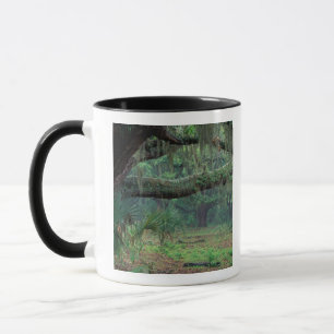 North America, USA, Georgia, Cumberland Mug