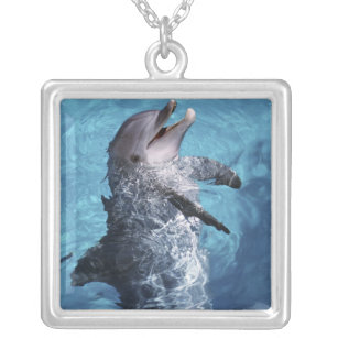 North America, USA, Hawaii. Dolphin 2 Silver Plated Necklace