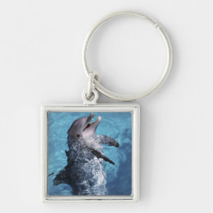 North America, USA, Hawaii. Dolphin Keychain
